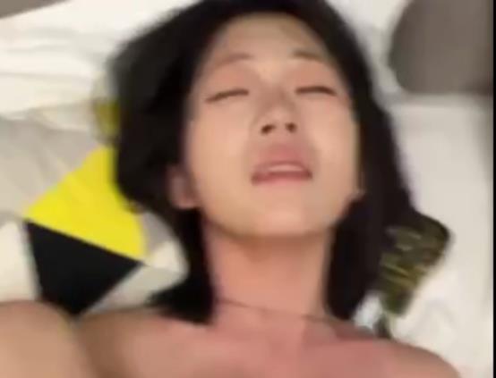 虎皮折耳猫