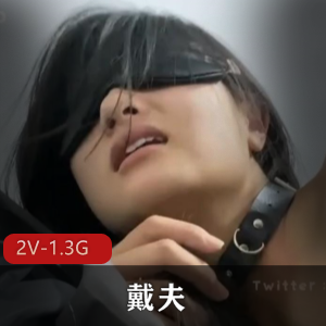 戴夫-教育小M狗 [2V-1.3G]